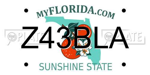Z43BLA Florida License Plate
