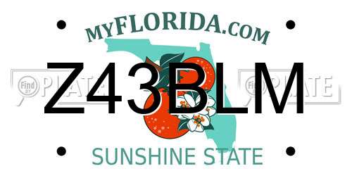 Z43BLM Florida License Plate