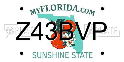 Z43BVP Florida License Plate
