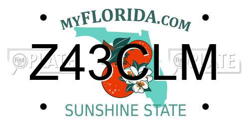 Z43CLM Florida License Plate