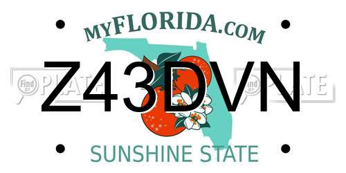 Z43DVN Florida License Plate