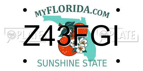 Z43FGI Florida License Plate