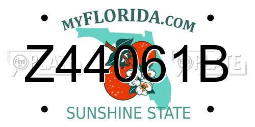 Z44061B Florida License Plate