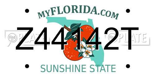 Z44142T Florida License Plate