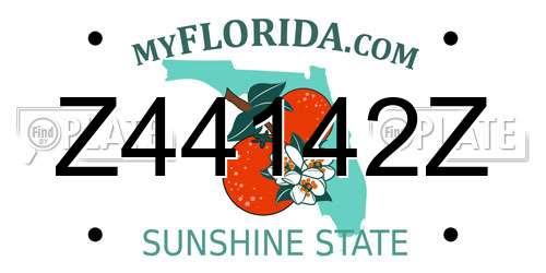 Z44142Z Florida License Plate
