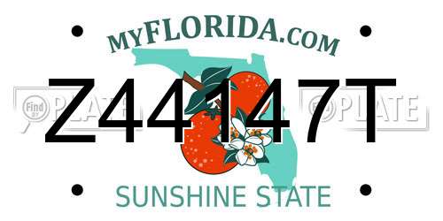 Z44147T Florida License Plate