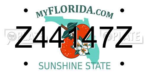 Z44147Z Florida License Plate