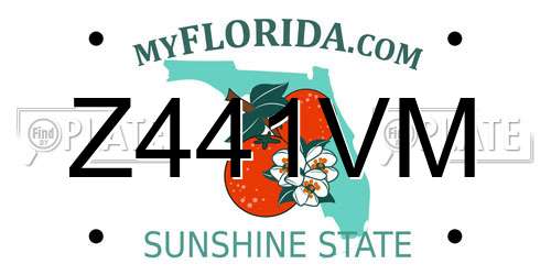 Z441VM Florida License Plate