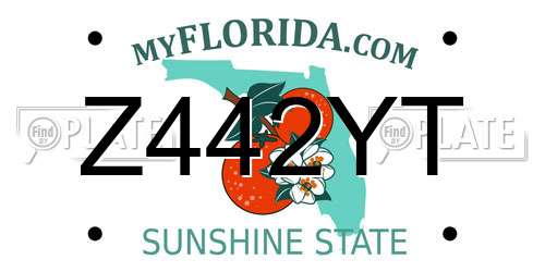 Z442YT Florida License Plate
