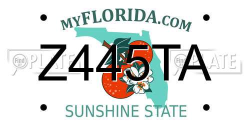 Z445TA Florida License Plate