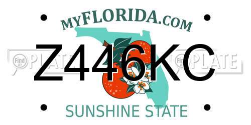Z446KC Florida License Plate