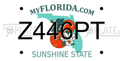 Z446PT Florida License Plate