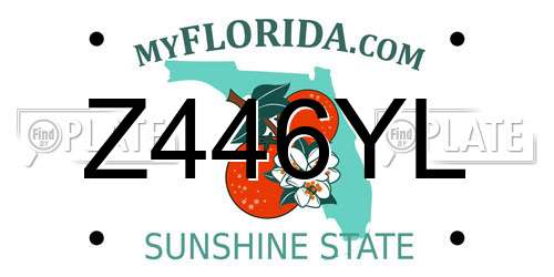 Z446YL Florida License Plate