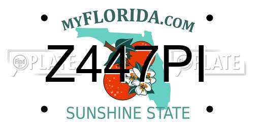Z447PI Florida License Plate