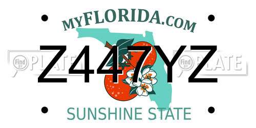 Z447YZ Florida License Plate