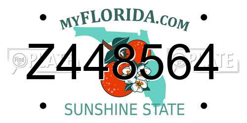 Z448564 Florida License Plate