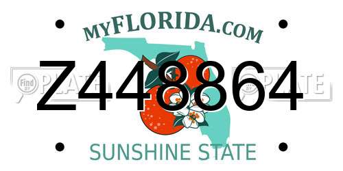 Z448864 Florida License Plate
