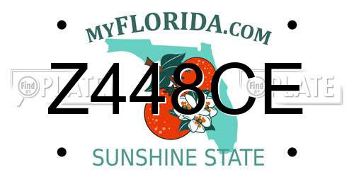 Z448CE Florida License Plate