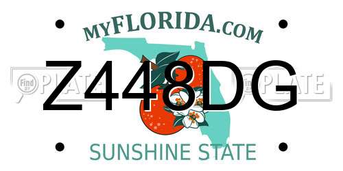 Z448DG Florida License Plate