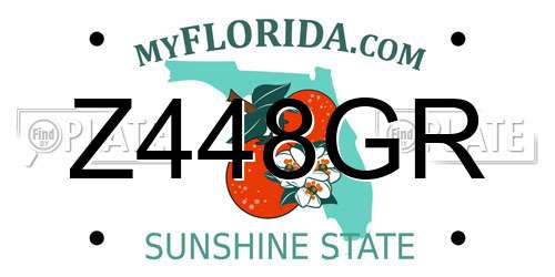 Z448GR Florida License Plate