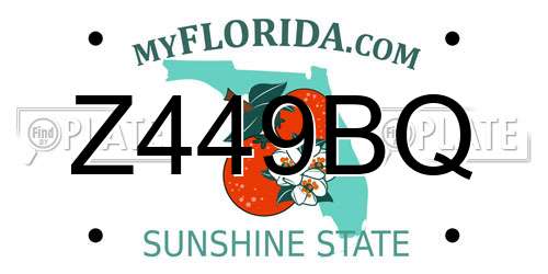 Z449BQ Florida License Plate