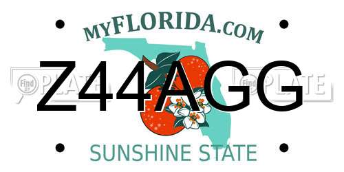 Z44AGG Florida License Plate