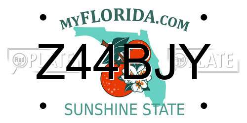 Z44BJY Florida License Plate