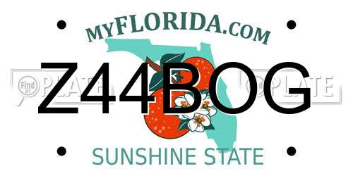Z44BOG Florida License Plate