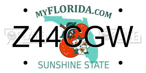 Z44CGW Florida License Plate