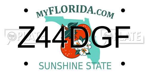Z44DGF Florida License Plate