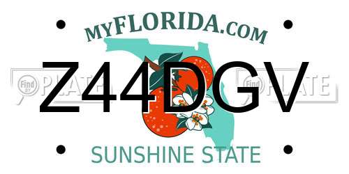 Z44DGV Florida License Plate