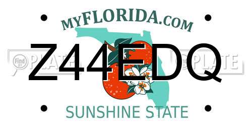 Z44EDQ Florida License Plate