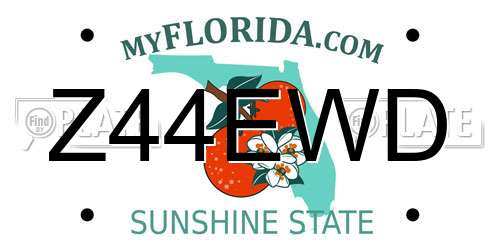 Z44EWD Florida License Plate