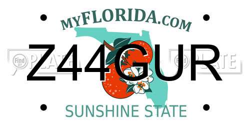 Z44GUR Florida License Plate