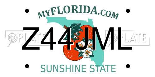 Z44JML Florida License Plate
