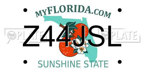 Z44JSL Florida License Plate