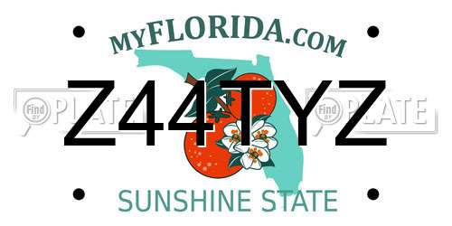 Z44TYZ Florida License Plate