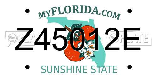 Z45012E Florida License Plate