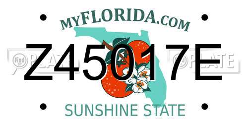 Z45017E Florida License Plate
