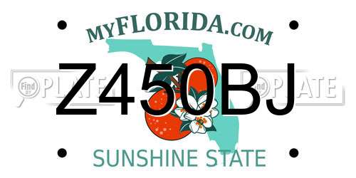 Z450BJ Florida License Plate