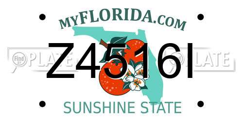Z4516I Florida License Plate