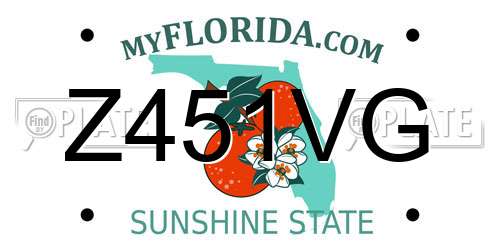 Z451VG Florida License Plate