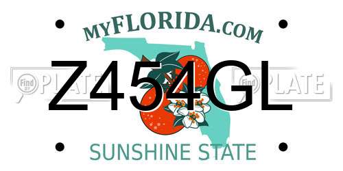 Z454GL Florida License Plate