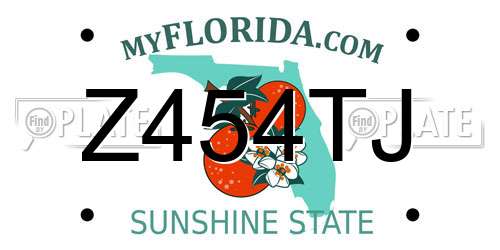 Z454TJ Florida License Plate