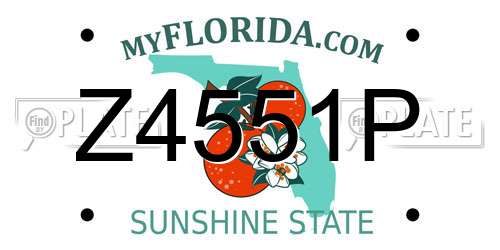 Z4551P Florida License Plate