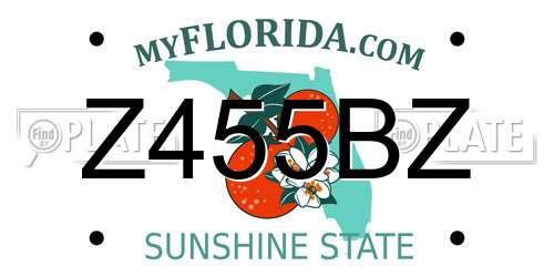 Z455BZ Florida License Plate