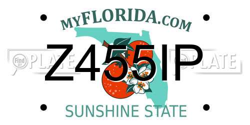 Z455IP Florida License Plate