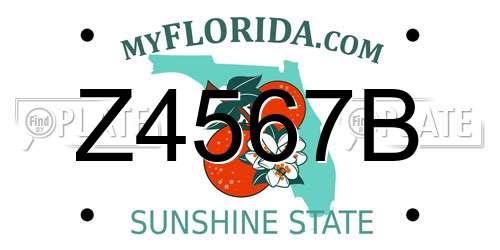 Z4567B Florida License Plate