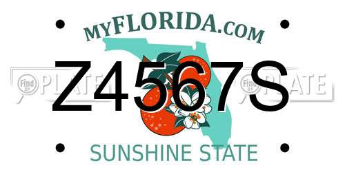 Z4567S Florida License Plate