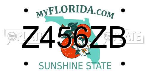 Z456ZB Florida License Plate